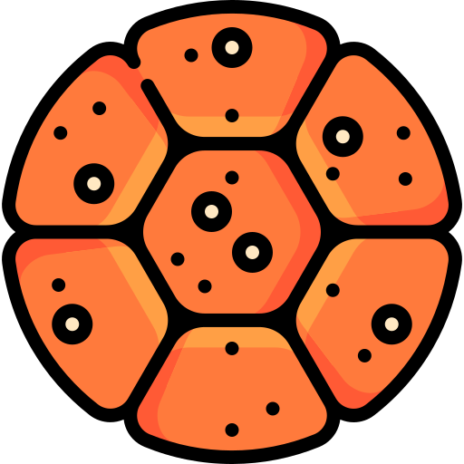 category image
