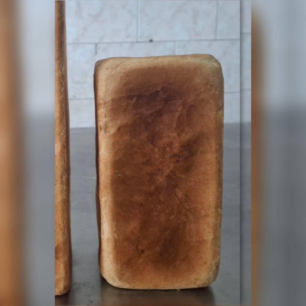 تست آرد گندم ساده (مینی)
