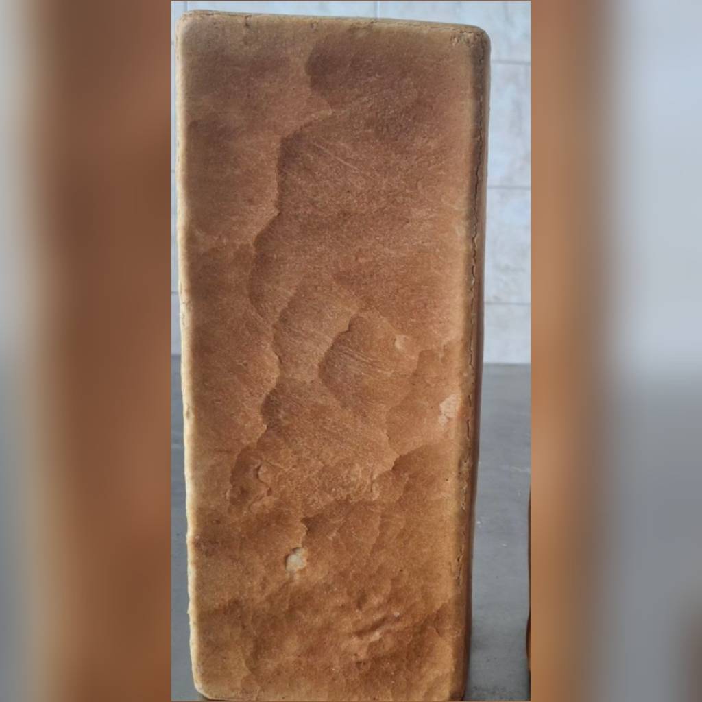 تست آرد گندم ساده (بزرگ)