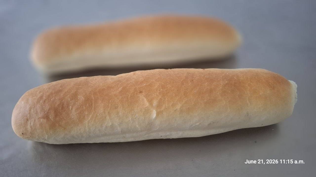 باگت ساندویچی